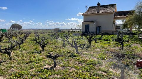 Foto 4 de Finca rústica en venta en Los Palacios y Villafranca, Sevilla