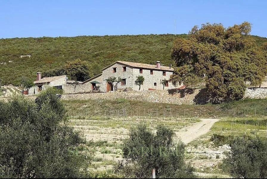 Exterior view of Country house for sale in Enguera  with Heating, Private garden and Terrace