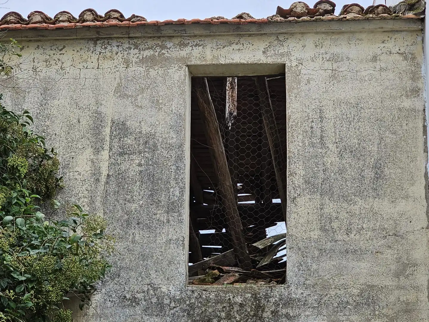 Casa in vendita a MARTIRES, imagen 11