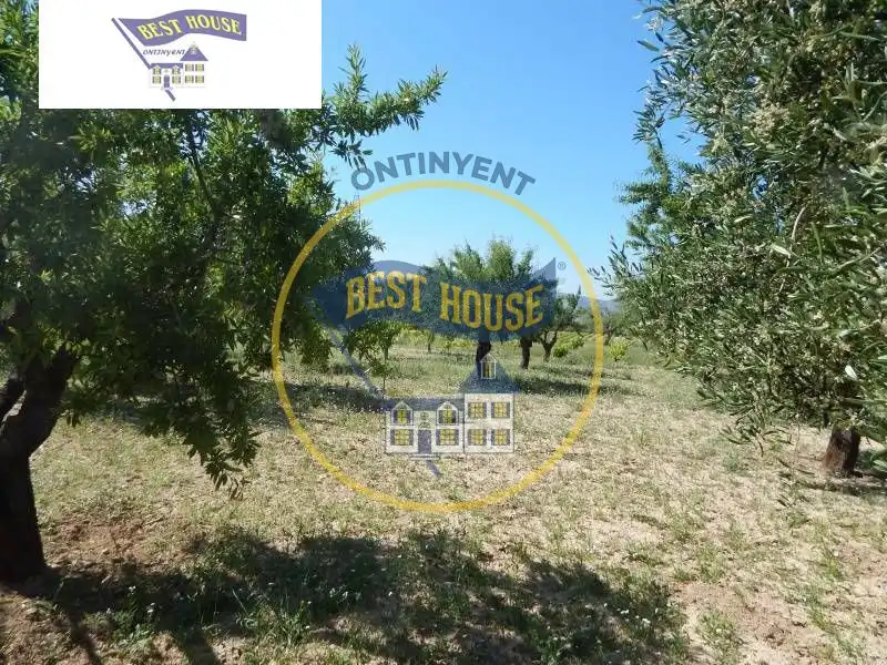 Detached house with terrace for sale in Sant Josep - Zona Hospital, imagen 6