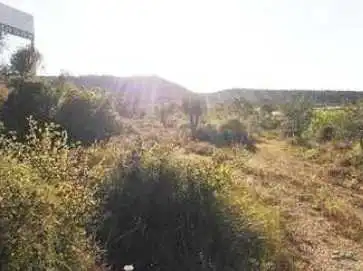 Terrain rustique à vendre à C/ Camp Santa Cana, imagen 6