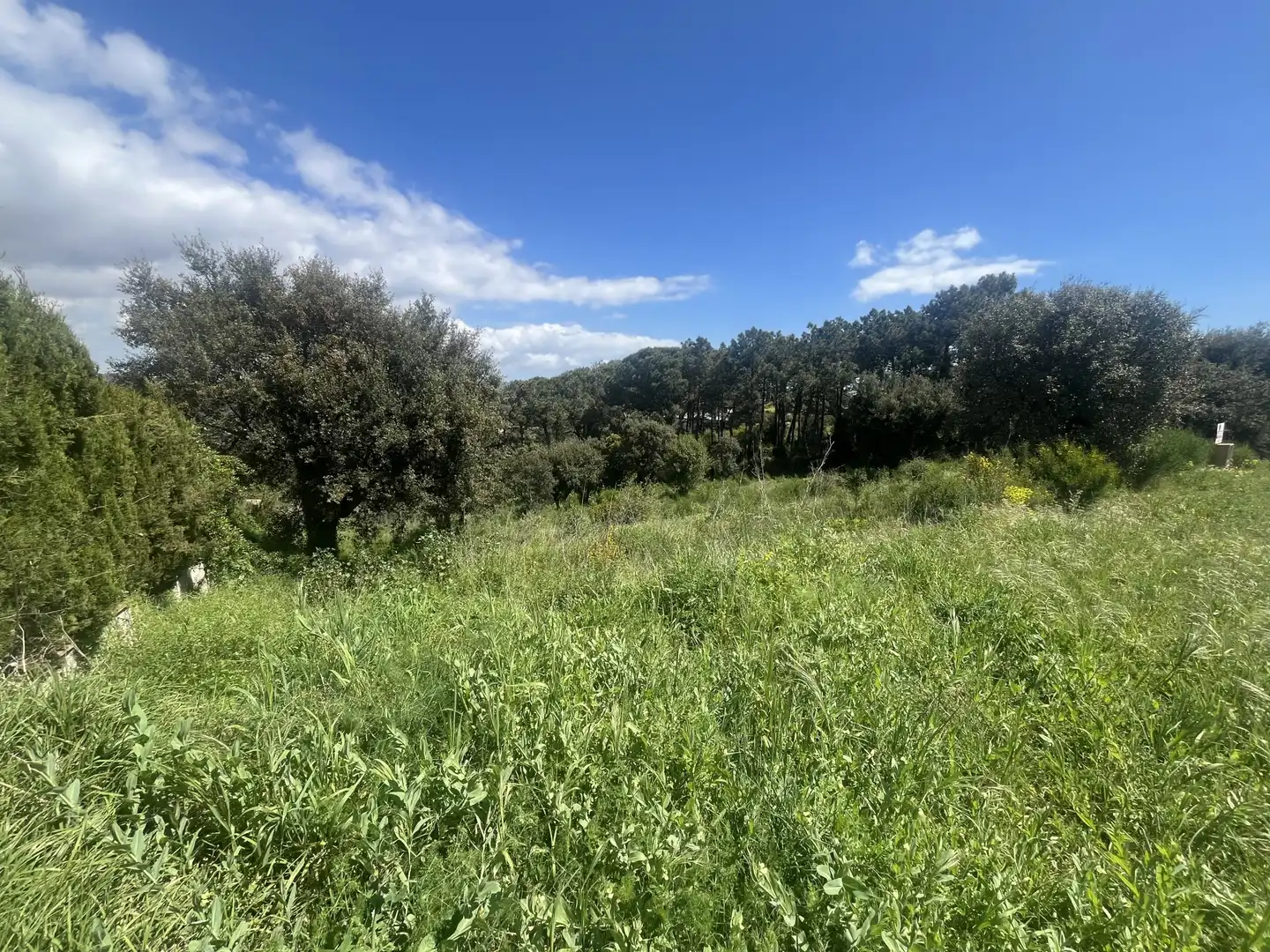 Lands and plots for sale in DE ROMANYÀ, imagen 3