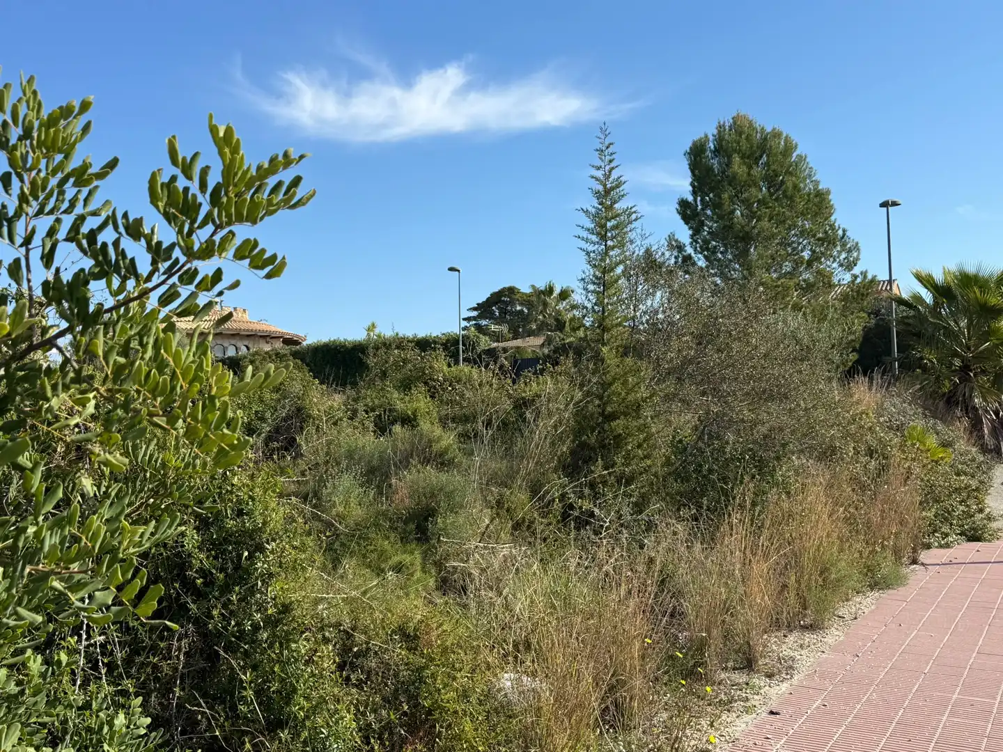 Residential land for sale in Creixell, imagen 2