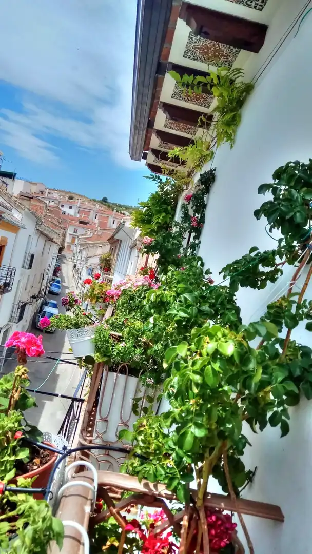 Villa con terrazza in vendita a Alhama de Granada, imagen 3