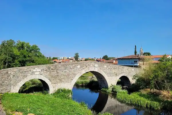 Vista exterior de Finca rústica en venta en Arzúa con Jardín privado