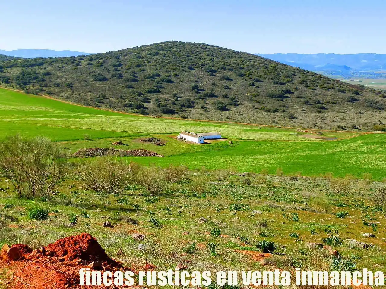 Terreno rustico in vendita a Aldea del Rey, imagen 5