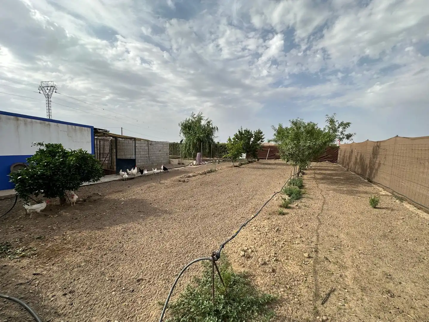 Chalet con piscina en venta en Calle Leonardo Da Vinci 17, imagen 13