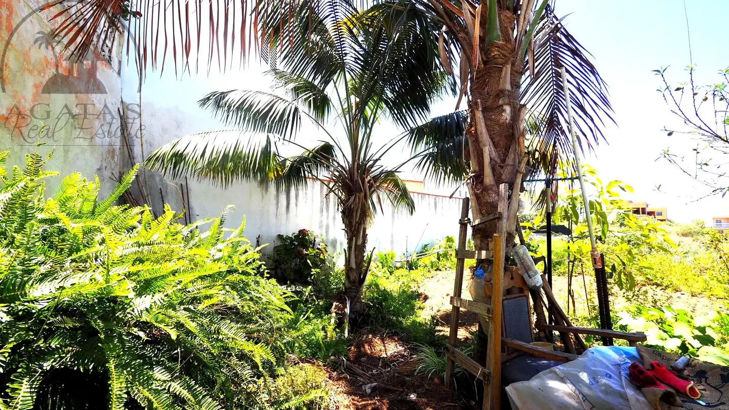 Jardí de Casa o xalet en venda en La Guancha amb Jardí privat i Moblat