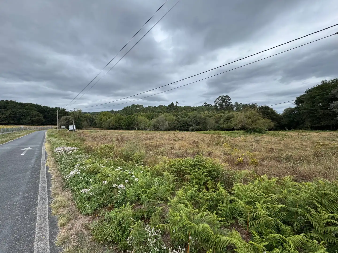 Land for sale in Boborás