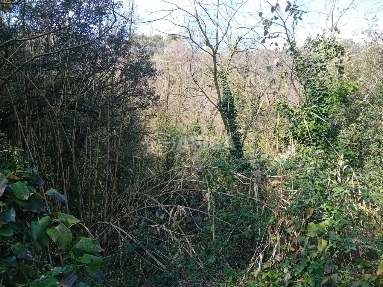 Terreno en venta en Cànoves I Samalús