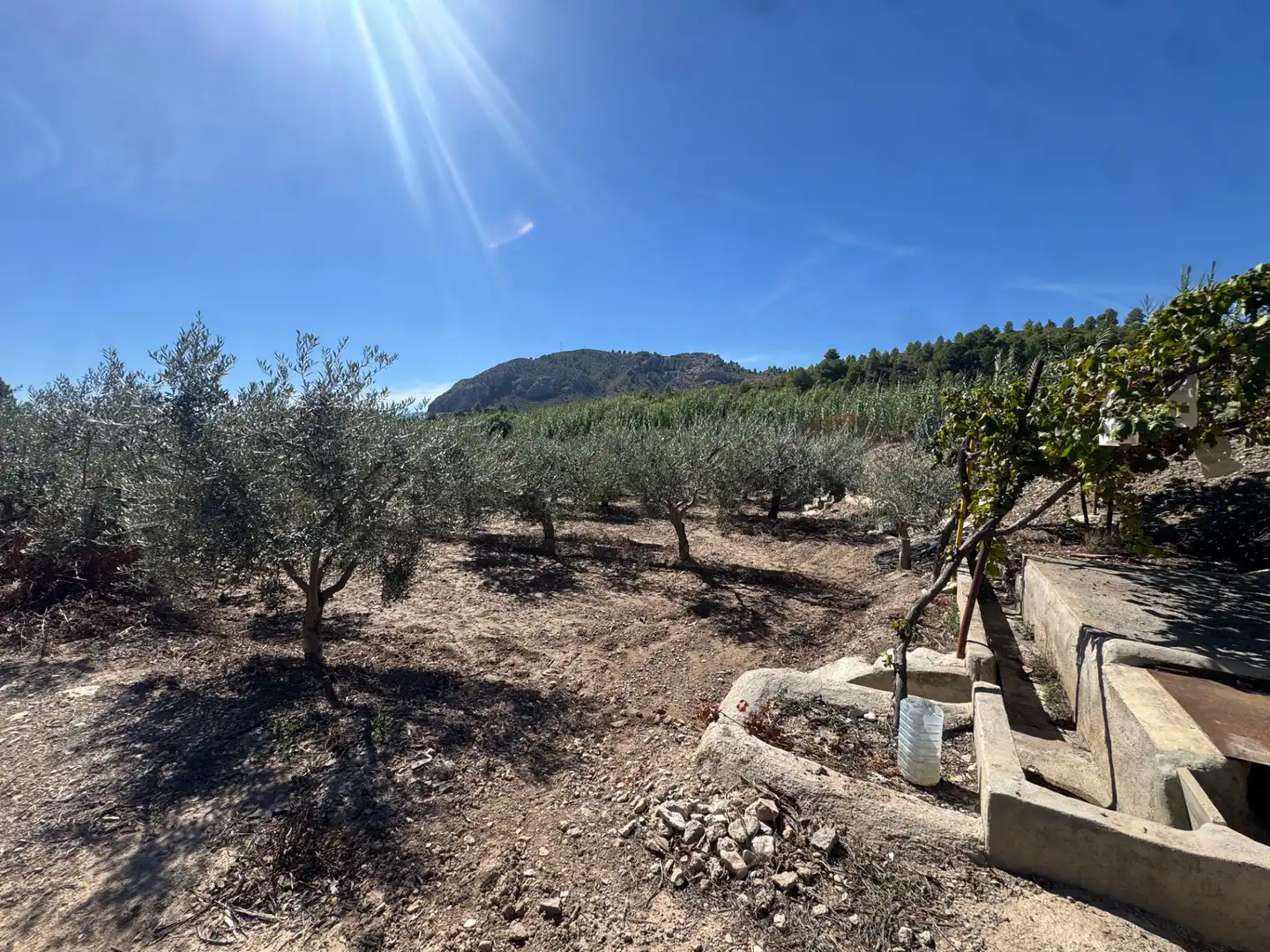 Villa con terrazza in vendita a Carretera de Murcia 13, imagen 33