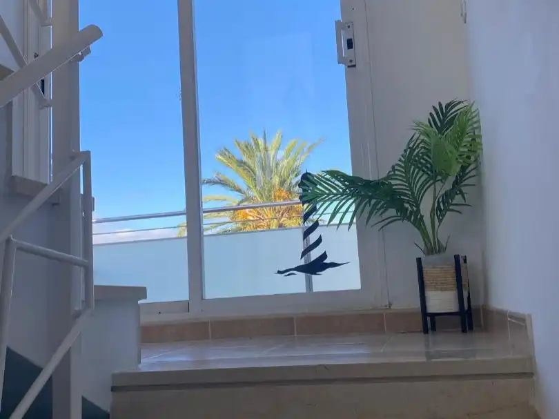 Vista exterior de Casa adosada en venda en Castell d'Aro, Platja d'Aro i s'Agaró amb Calefacció, Jardí privat i Terrassa