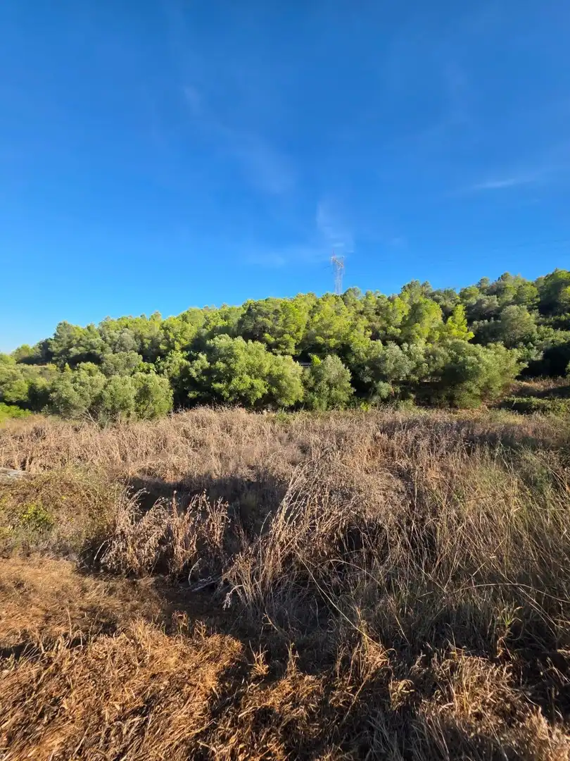 Terreno rustico in vendita a Grau - Quintanes, imagen 37