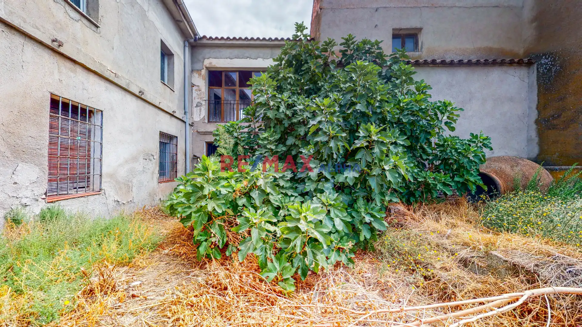 Vista exterior de Finca rústica en venda en Domingo Pérez amb Jardí privat