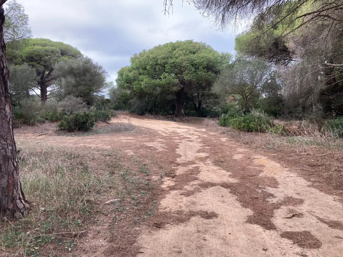 Grundstücke und Bauplätze zum Verkauf in Vejer, imagen 4