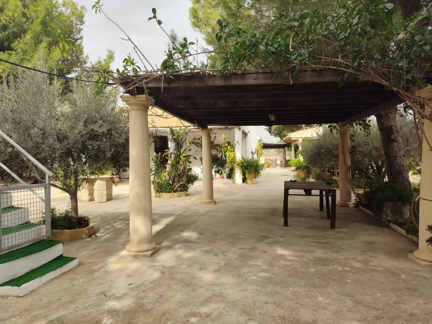 Jardí de Casa o xalet en venda en Elche / Elx amb Jardí privat i Moblat
