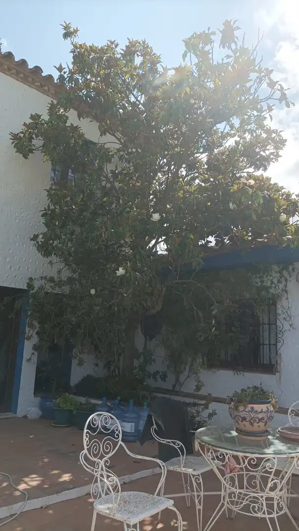 Garden of Country homes for sale in Ronda  with Heating, Private garden and Terrace