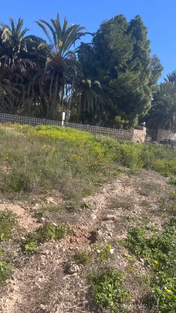 Terrain rustique à vendre à Partida Torrellano Bajo 1110B, imagen 4