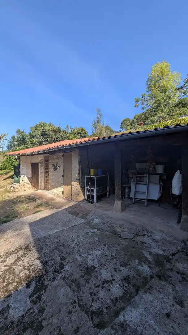 Maison rustique à vendre à MANUEL PEREZ MAZO, imagen 43
