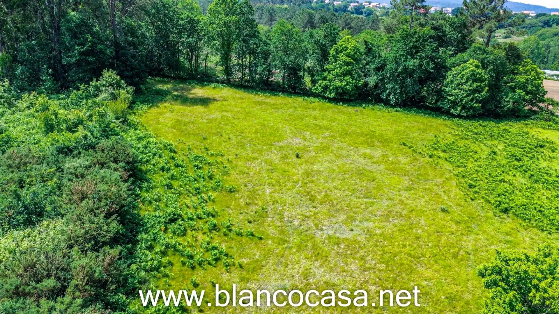 Casa o chalet en venta en Carballo con Jardín privado