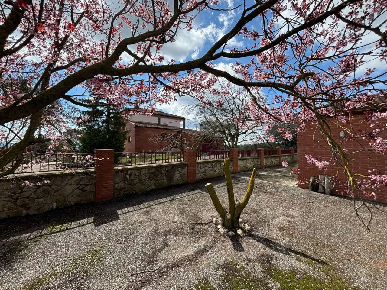 Jardí de Casa o xalet en venda en Santa Coloma de Queralt amb Calefacció, Jardí privat i Terrassa