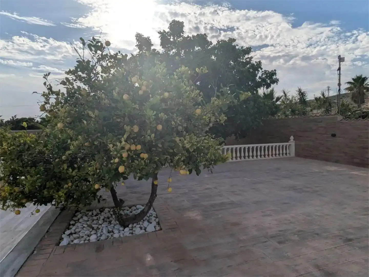 Terrasse von Wohnung zum Verkauf in Elche / Elx mit Klimaanlage, Privatgarten und Abstellraum