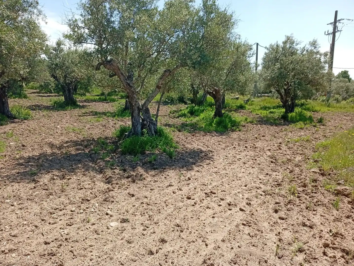 Terreni e lotti in vendita a Villanueva de la Vera, imagen 41