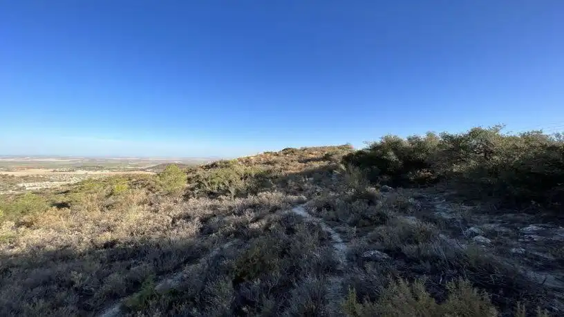 Finca rústica en venta en San Antonio O Guardarropa Pol 115.par 8,9 y 15, Osuna