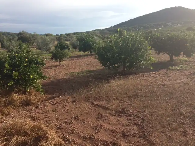 Terrenys i solars en venda a Estivella