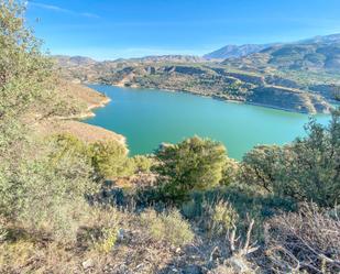 Land for sale in El Pinar