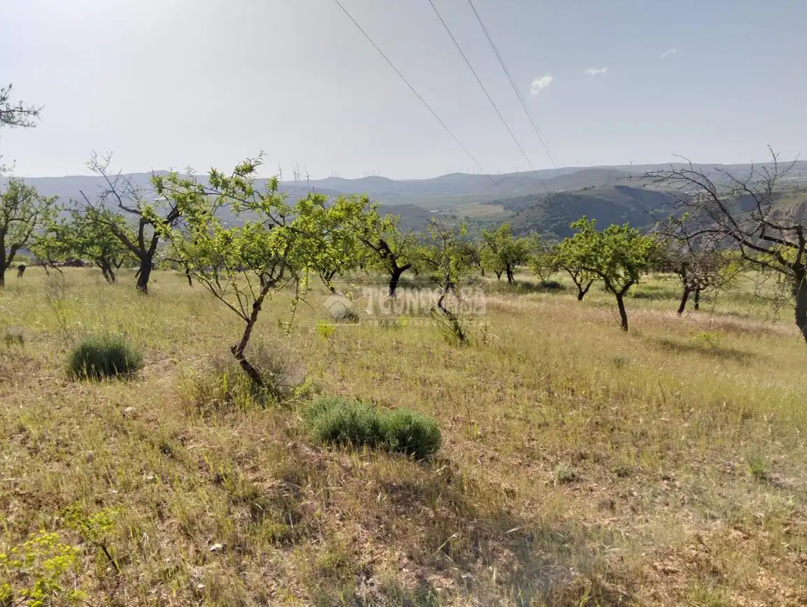 Rural land for sale in Dúrcal