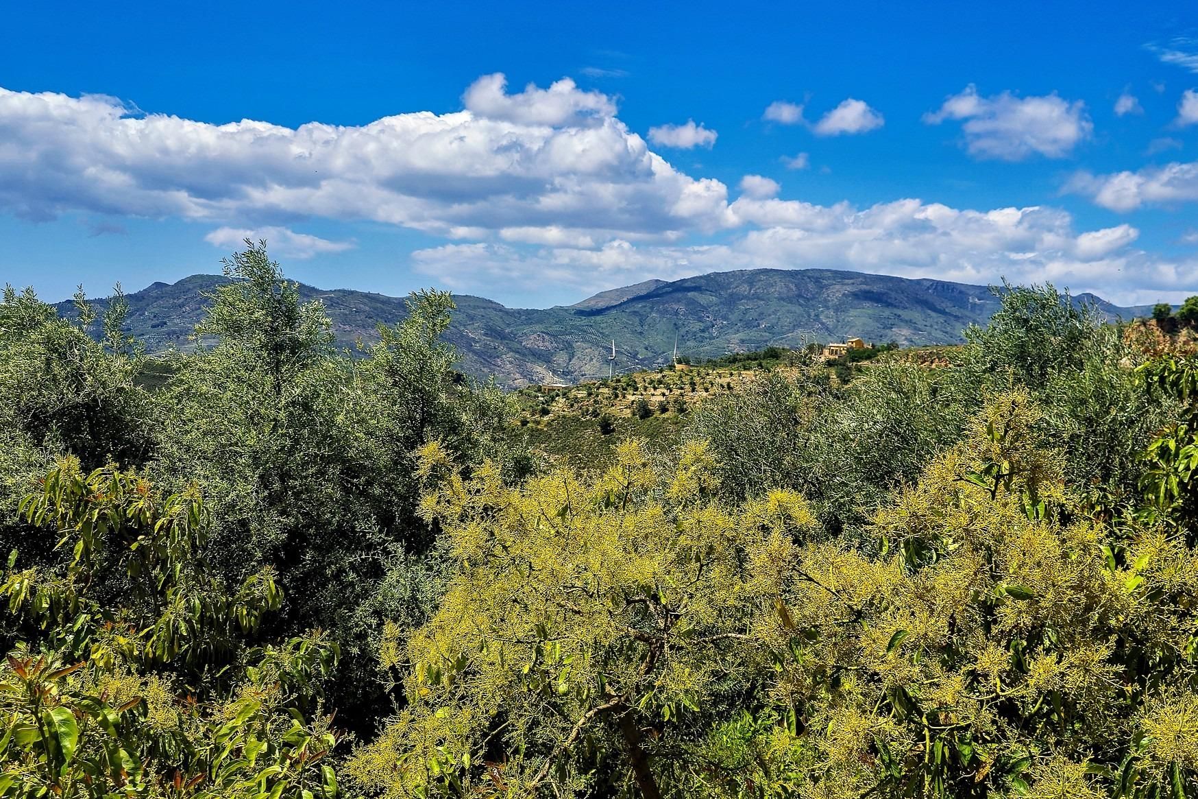 Finca rústica en venda a Calle Higueruelas pol 13, parc 7, Lanjarón