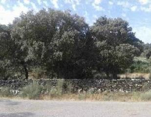 Land for sale in Aldea del Obispo