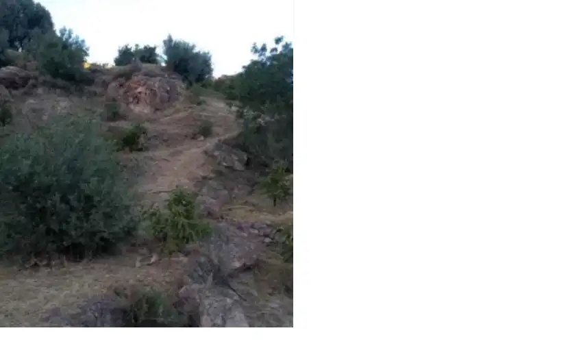 Terreno rustico in vendita a Los Guájares, imagen 8