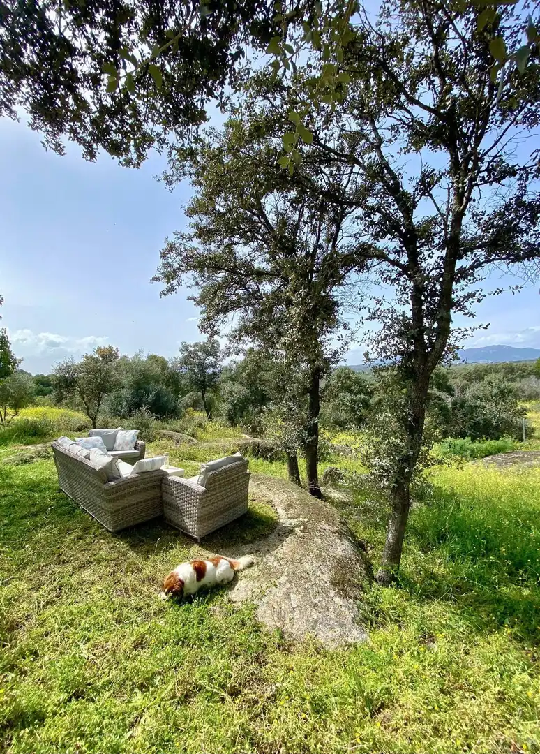 Casa rústica amb piscina en venda a Camino Almorox, imagen 38
