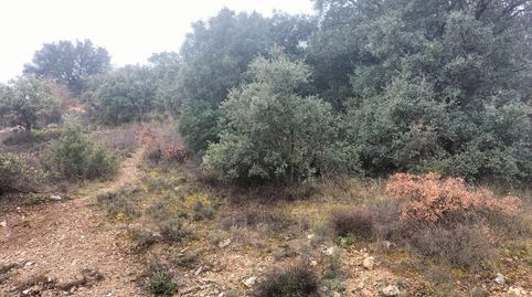 Foto 4 de Residencial en venta en Camino Palmeras, Hontoba, Guadalajara