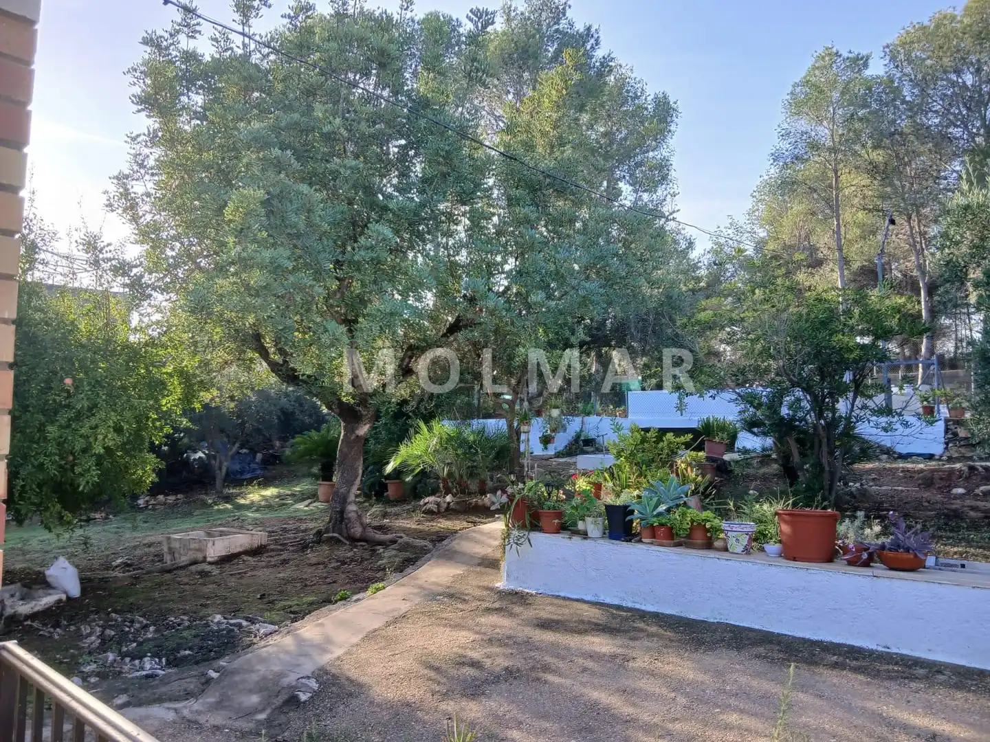 Finca rústica en venta en Carlet con Jardín privado y Piscina