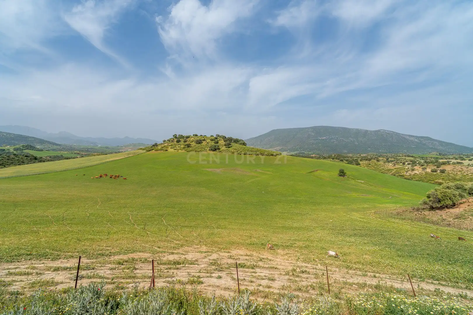 Casa in vendita a Olvera, Spain Polígono 24 Parcela 159 - La Mota, imagen 3