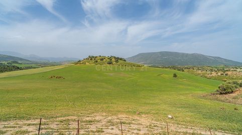 Suelo Agropecuario Ganadero Olvera  Sierra de Cadiz, imatge 3