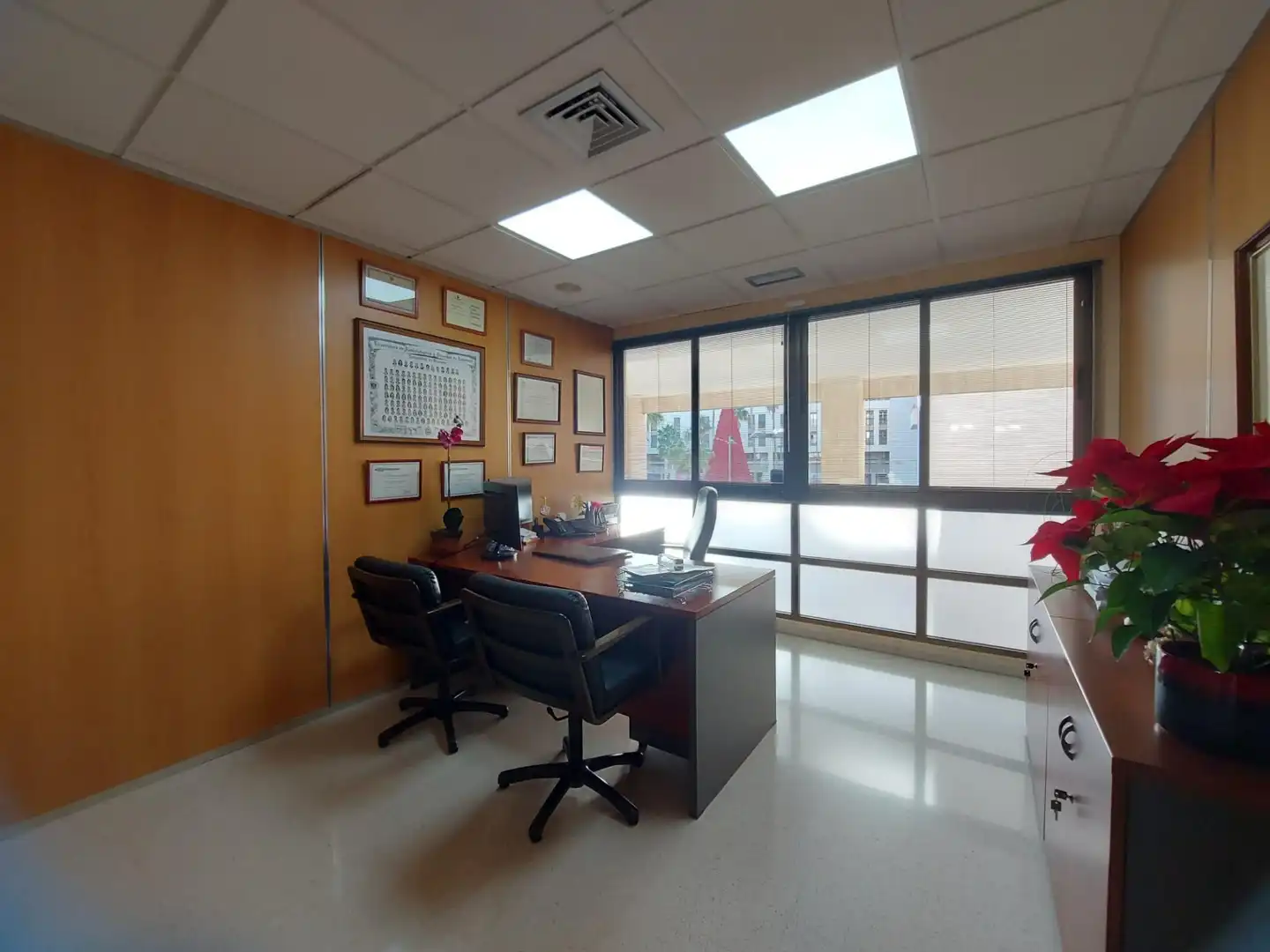 Office space with lift for sale in El Ejido Ciudad, imagen 14