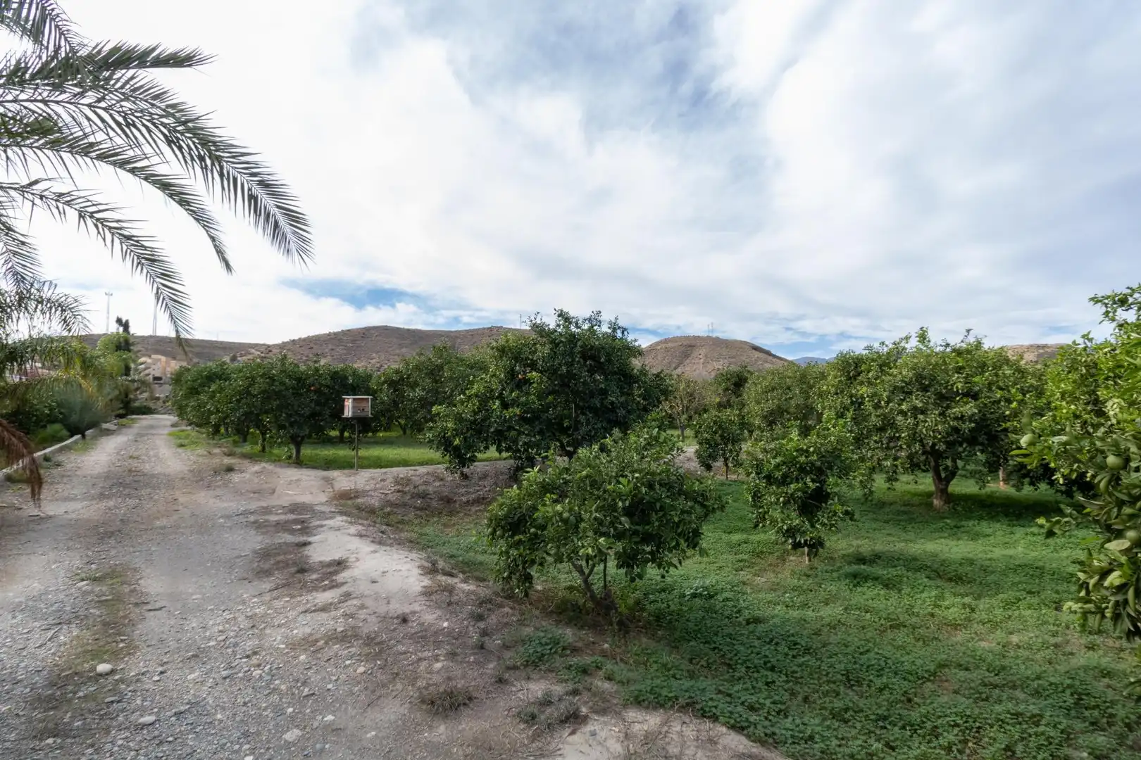 Land for sale in Santa Fe de Mondújar