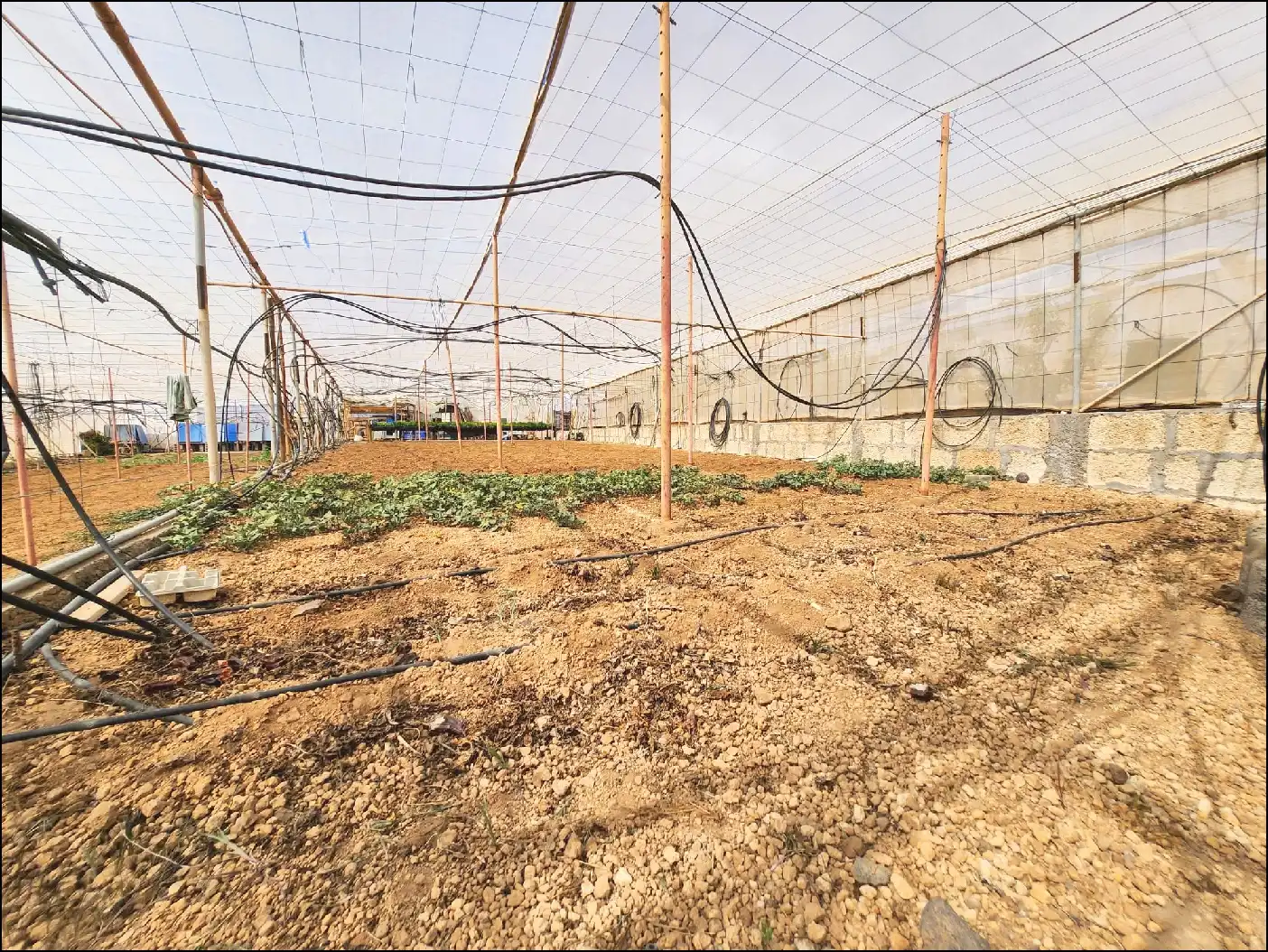 Finca rústica en venda en Arico amb Terrassa i Moblat