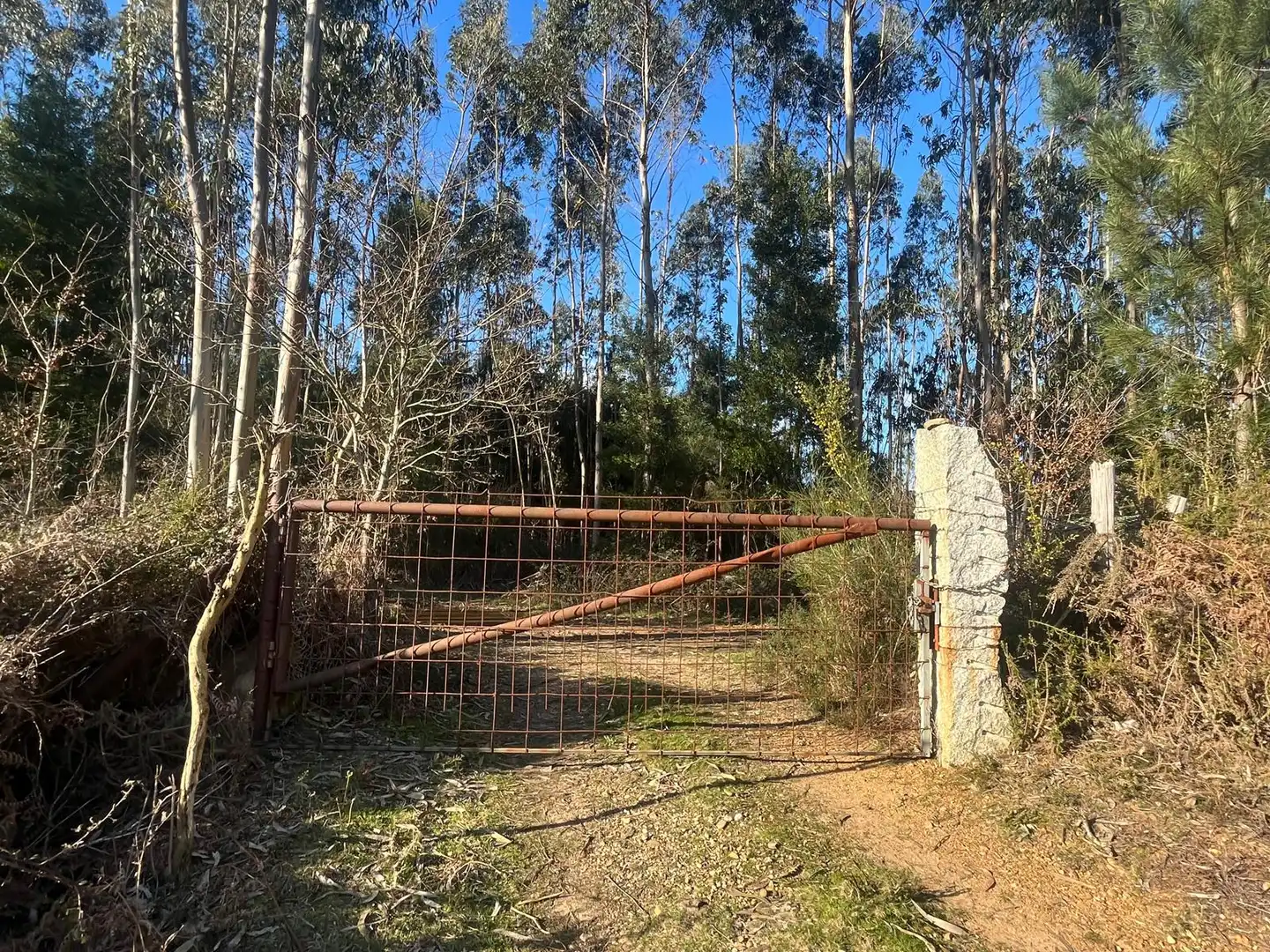 Terreno rustico in vendita a O Rosal, imagen 2