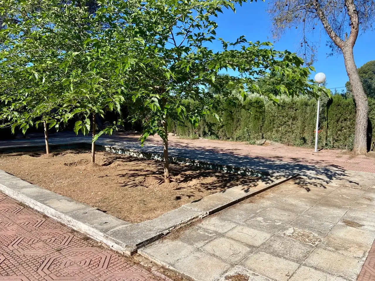 Xalet amb jardí en venda a Camino del Calvario, imagen 6