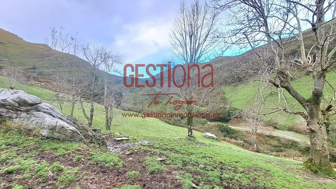 Maison avec jardin à vendre à Soba, imagen 31