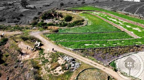 Foto 2 de Finca rústica en venta en Camino Los Cortados, Vilaflor de Chasna, Santa Cruz de Tenerife