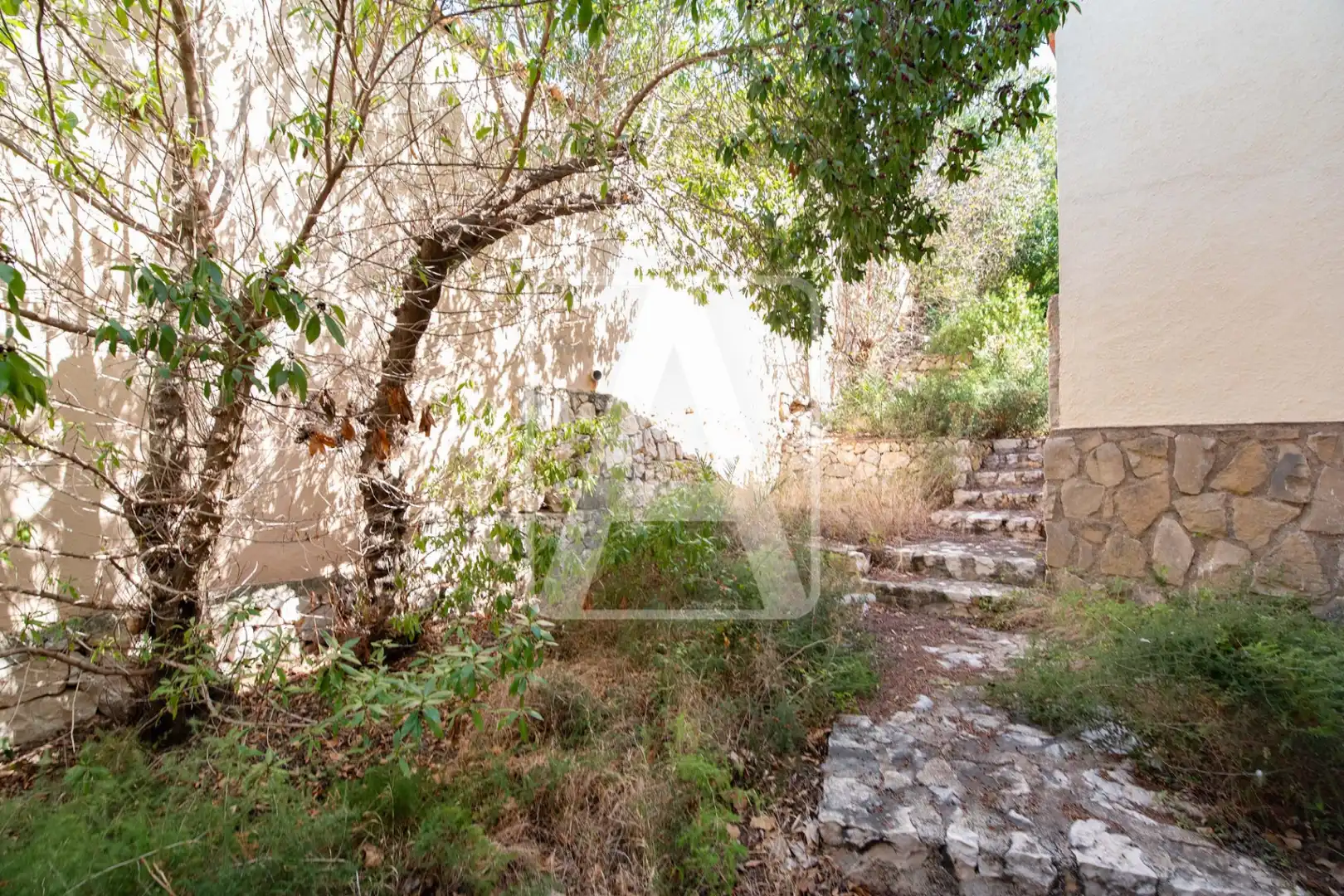 Villa avec jardin à vendre à La Viña - Montemar - San Jaime, imagen 17