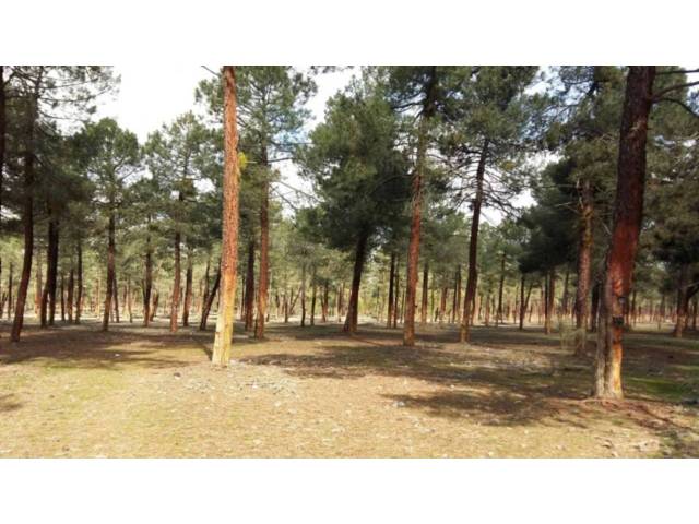 Terreno residencial en Venta en Tiñosillos