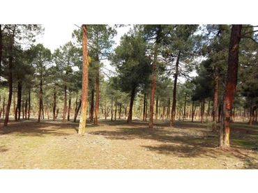 Terrenys i solars en venda a Tiñosillos
