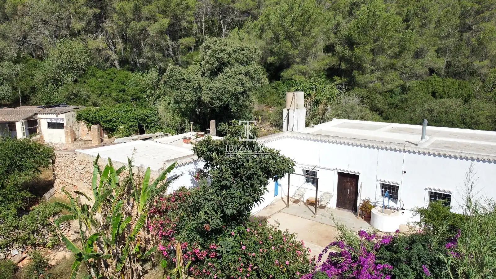 Jardí de Casa o xalet en venda en Sant Antoni de Portmany